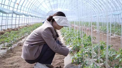 科技小院與共享菜園 科班研究生入村，為農產品種植注入新生機