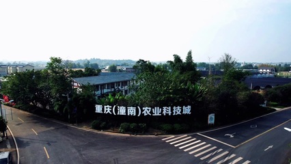 潼南農業(yè) 特色農產品種植的繁榮圖景與發(fā)展路徑